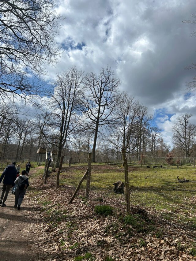 Osterferienprogramm 2026